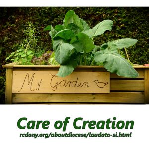 3 31environmental stewardship 300 x 300 px