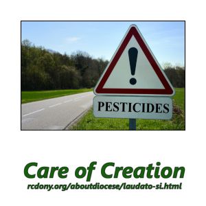 5 12 environmental stewardship 300 x 300 px 1