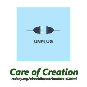 environmental stewardship 300 x 300 px