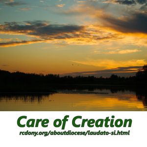 environmental stewardship 300 x 300 px 1