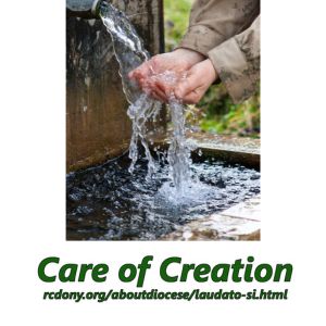 environmental stewardship 300 x 300 px 2